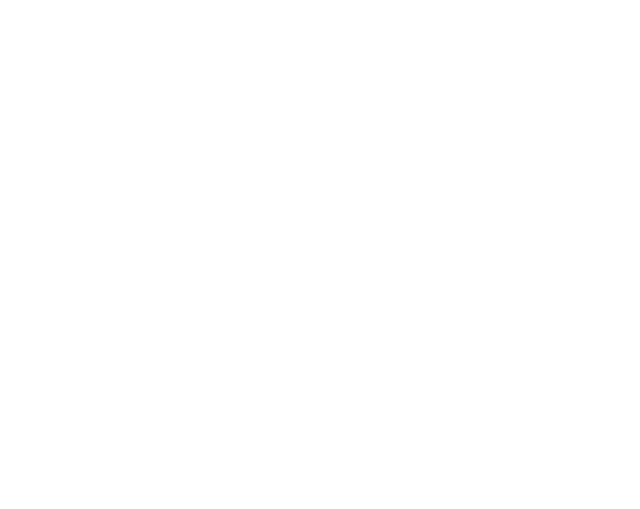 Hana Store